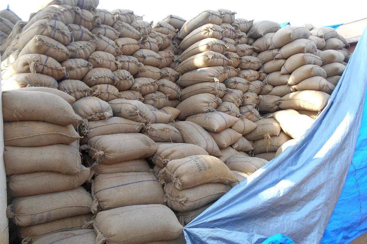 Representative photo: sacks of paddy stacked at a rice mill