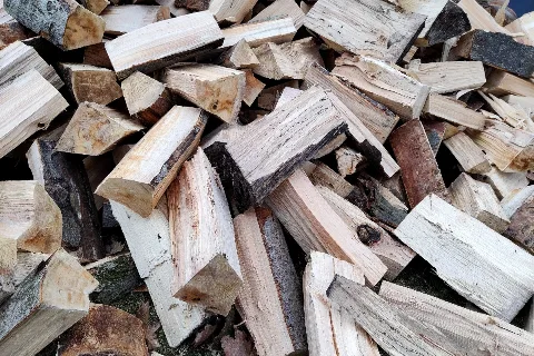 A pile of cut wood logs (representative)