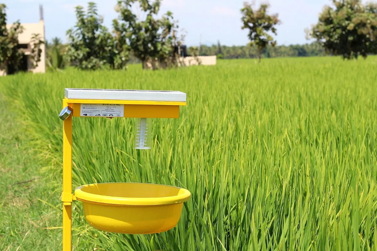 A solar insect trap in a paddy field (representative)