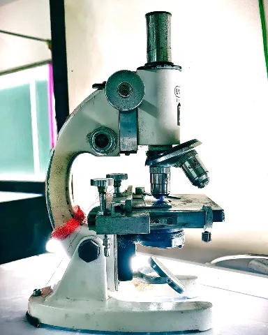 Representative photo: a microscope in a laboratory