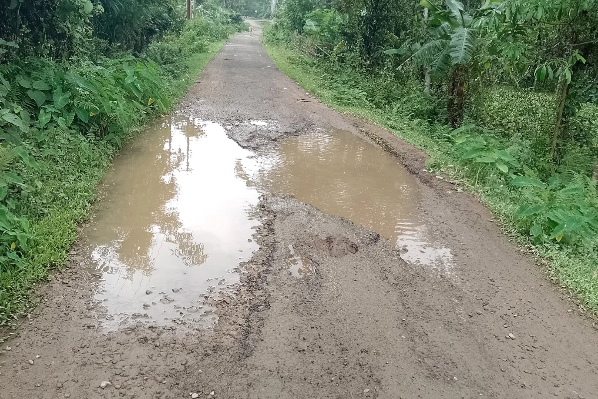 Representative photo: a road full of potholes and water