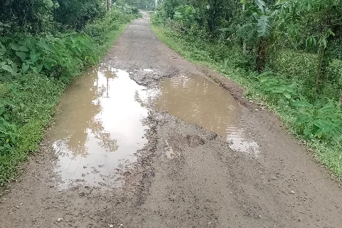 सांकेतिक तस्वीर: गड्ढों और पानी से भरी सड़क