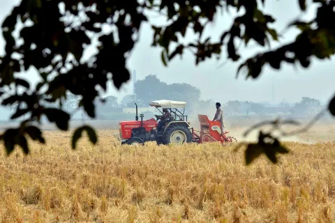सांकेतिक तस्वीर: खेत में ट्रैक्टर से गेहूं की बुवाई (पंजाब के संगरूर के पास)