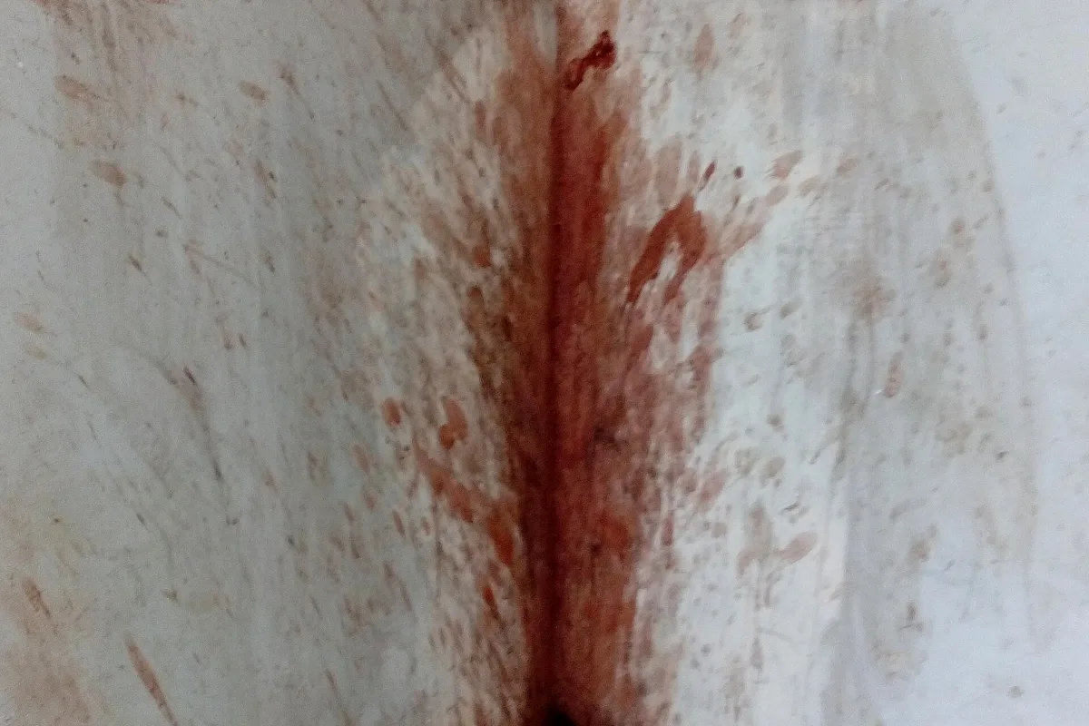 Gutkha and pan masala spit stains on a wall (representative)