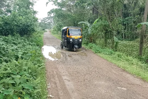 Representative photo: an auto-rickshaw driving on a road full of potholes and water